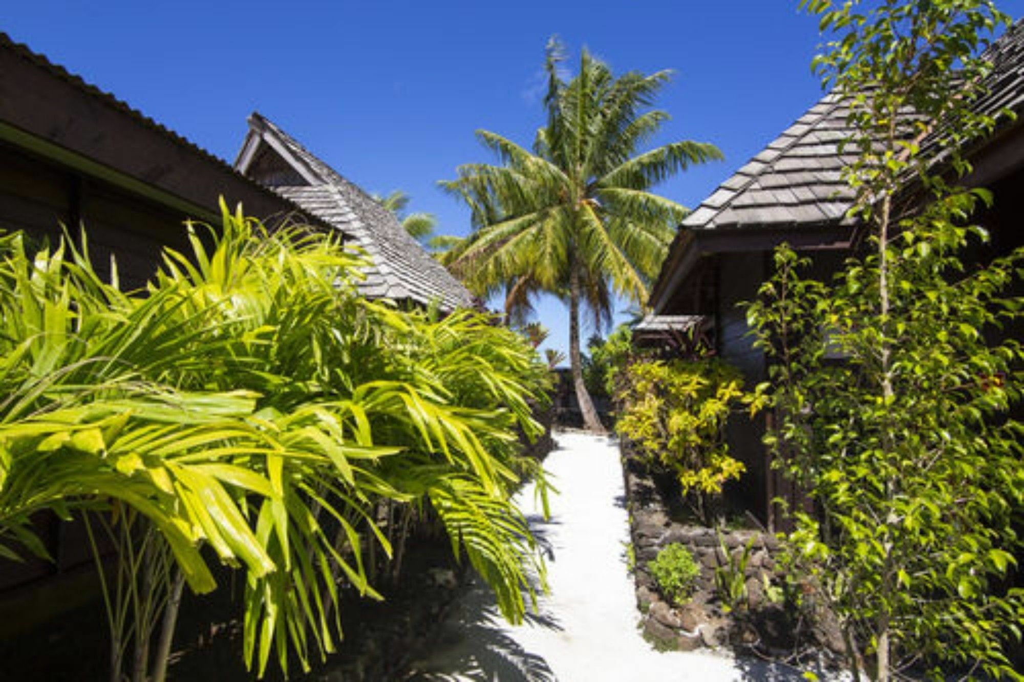Oa Oa Lodge Bora Bora Eksteriør bilde