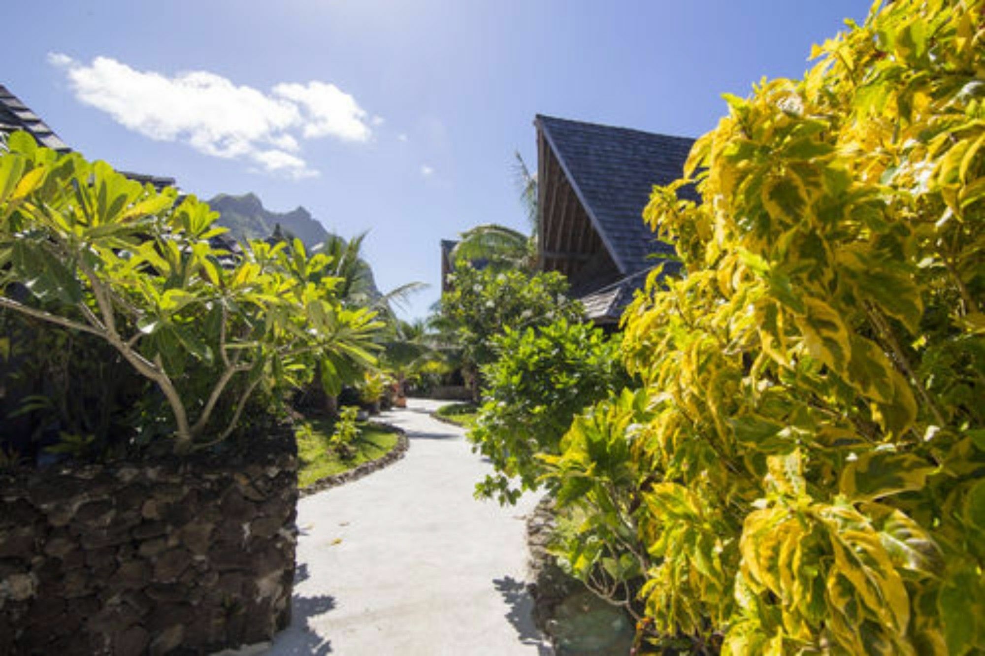 Oa Oa Lodge Bora Bora Eksteriør bilde
