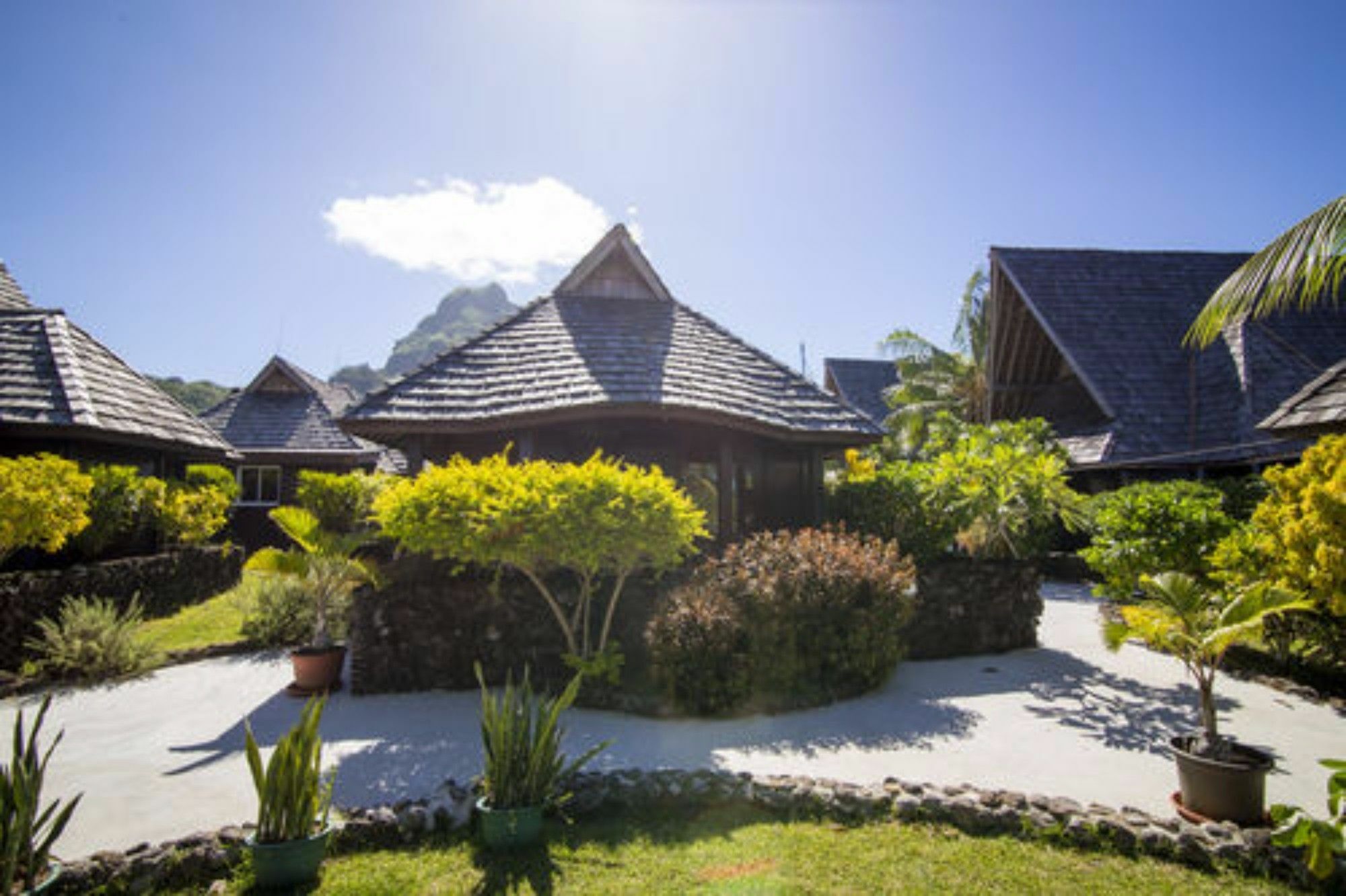 Oa Oa Lodge Bora Bora Eksteriør bilde
