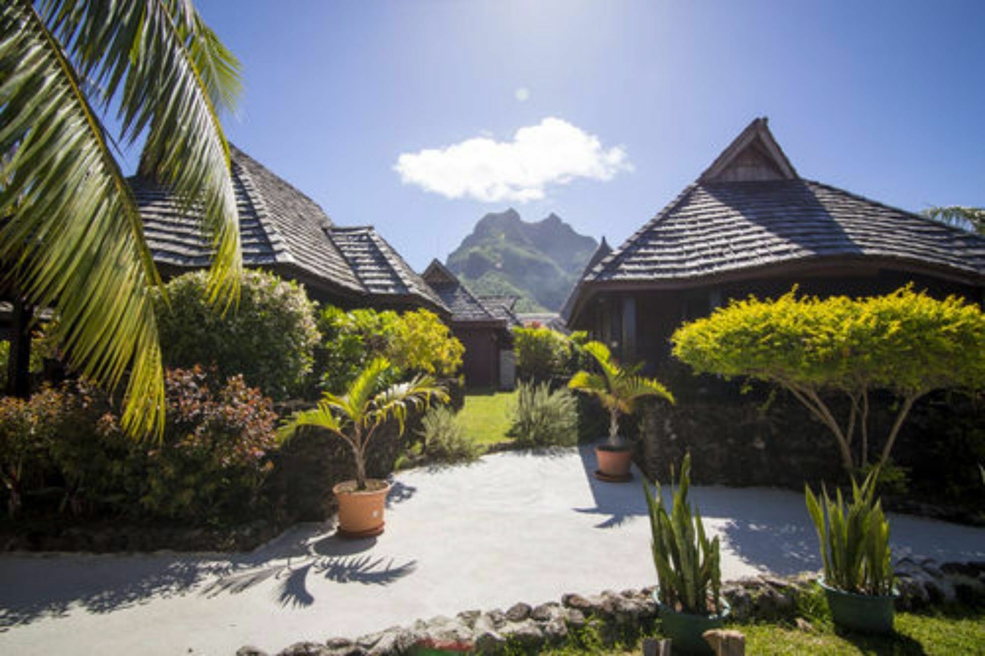 Oa Oa Lodge Bora Bora Eksteriør bilde