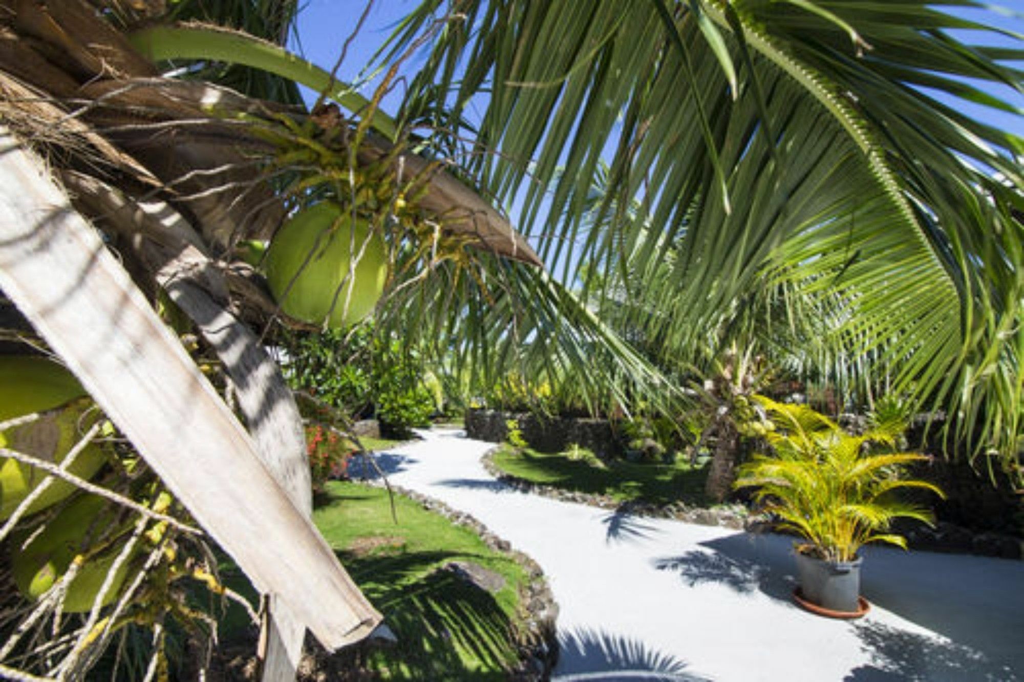 Oa Oa Lodge Bora Bora Eksteriør bilde
